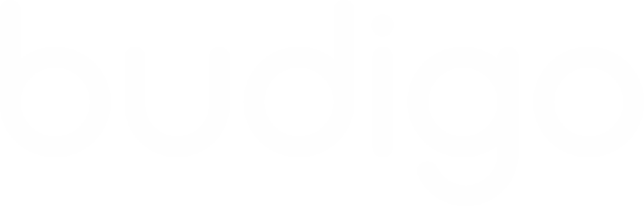 Budigo logo